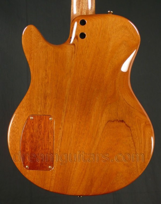 Buscarino Starlight Nylon String Acoustic Electric Mahogany/Quilted