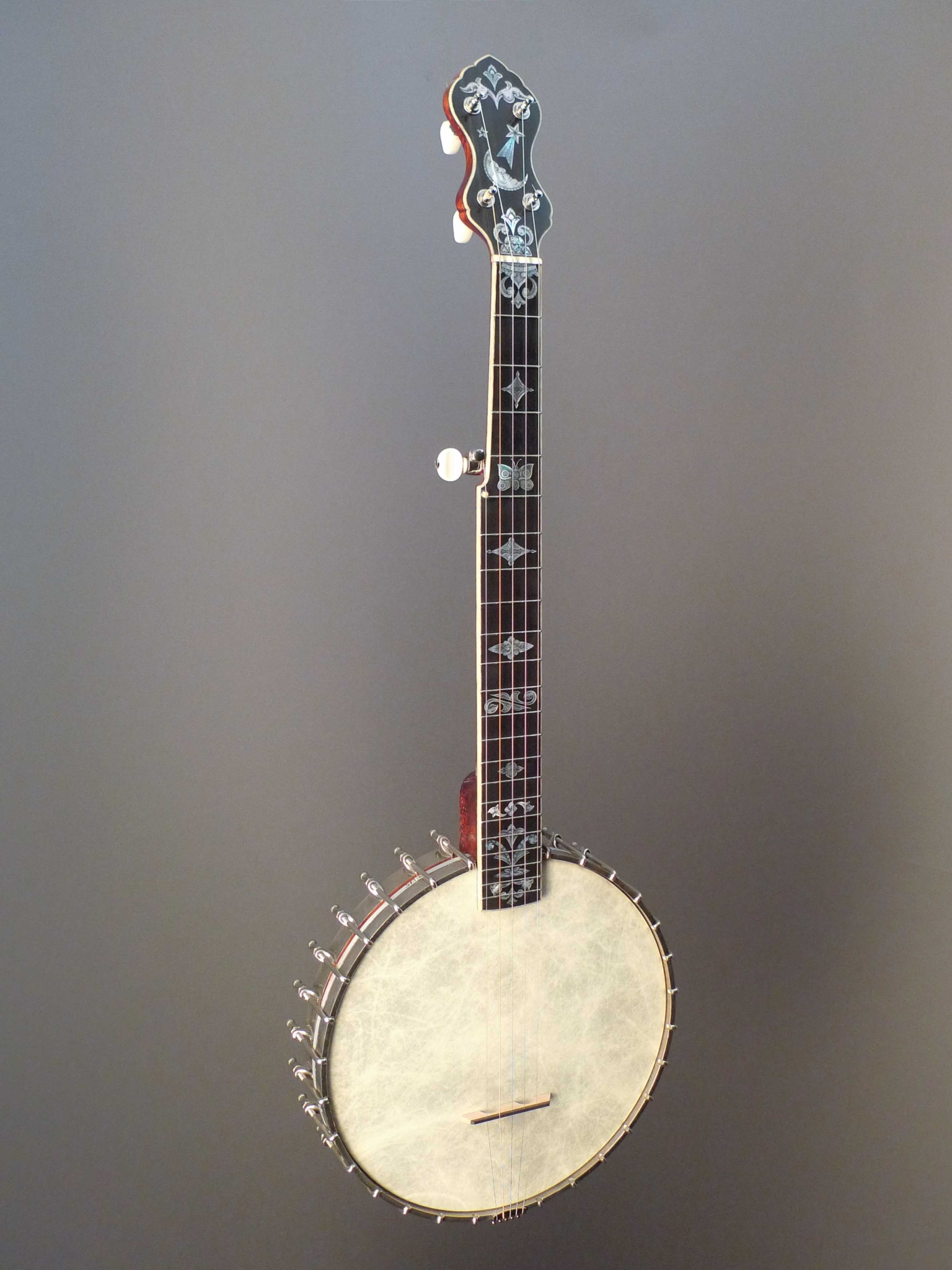 World's Best Banjos | Banjo Shop | Dream Guitars