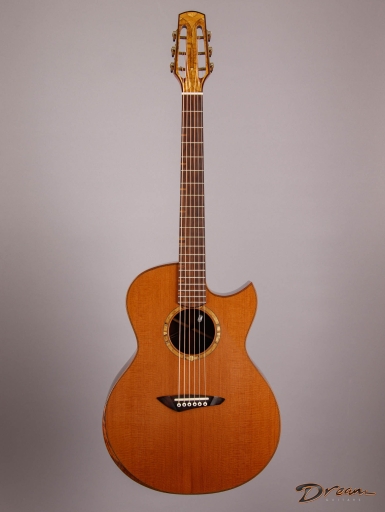 Flattop Steel Guitars | Dream Guitars