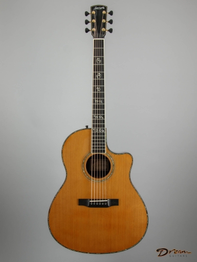 New Arrivals - Dream Guitars