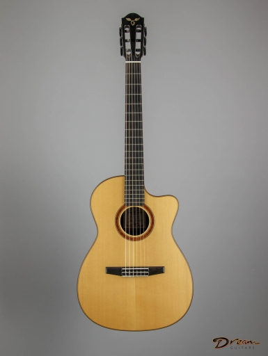 New Arrivals - Dream Guitars